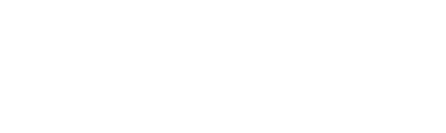 搏朗通 Logo